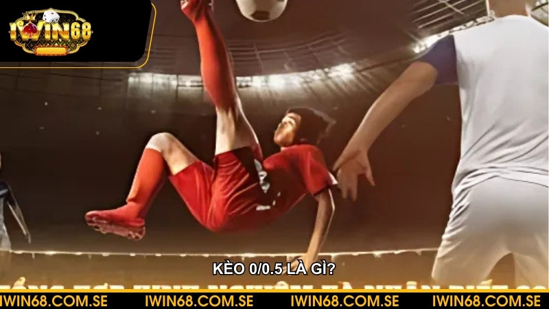 Kèo 0/0.5 là gì? Cách tính thắng thua và bí kíp soi kèo chắc thắng